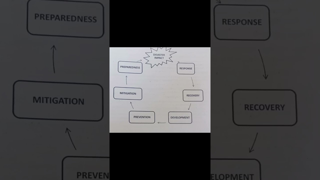 Disaster management cycle #shorts