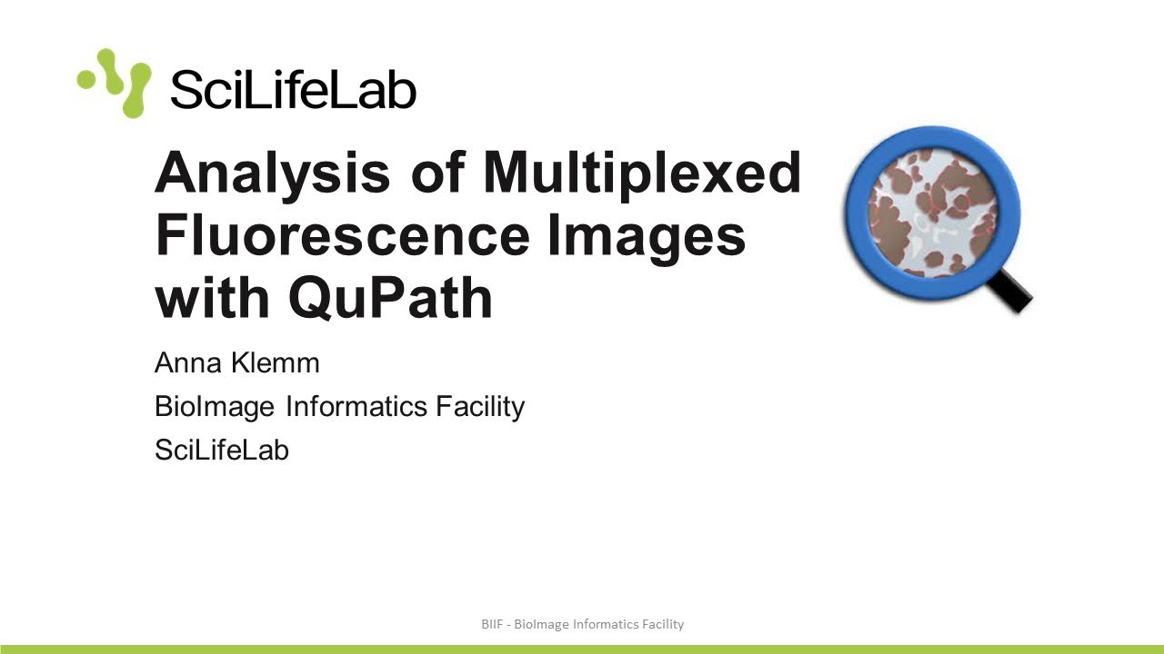 Introduction to QuPath for Multiplexed Fluorescence Microscopy