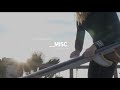 INTRODUCING THE MISC A Model Overview