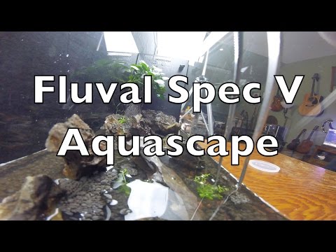 2016 Spec V Aquascape