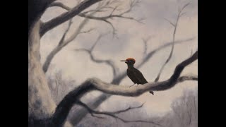 ALMAGRE - Annecy Festival 2024