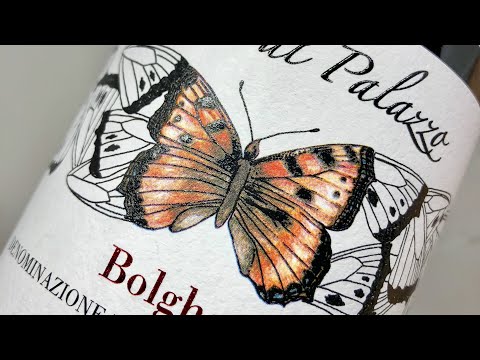 Bolgheri D.O.C. 2018 “Caccia al Palazzo” - Tenuta di Vaira