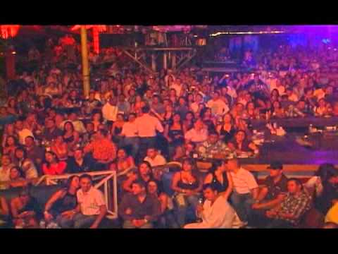 El Seductor - Bazil Alexander  (En Vivo)