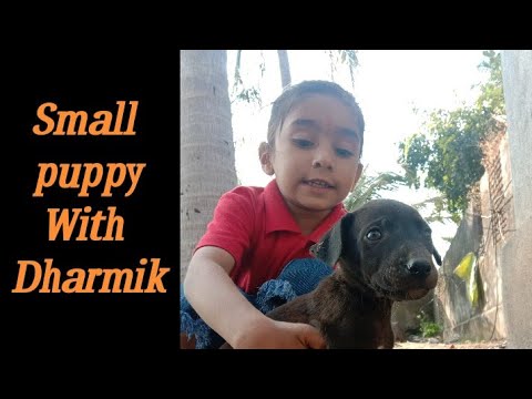 Tare Jami par !! Meet & Dharmik Megal at nesda