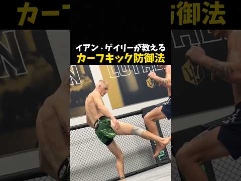 イアン・ゲイリーが教えるカーフキック防御法 #格闘技 #ufc #mma
