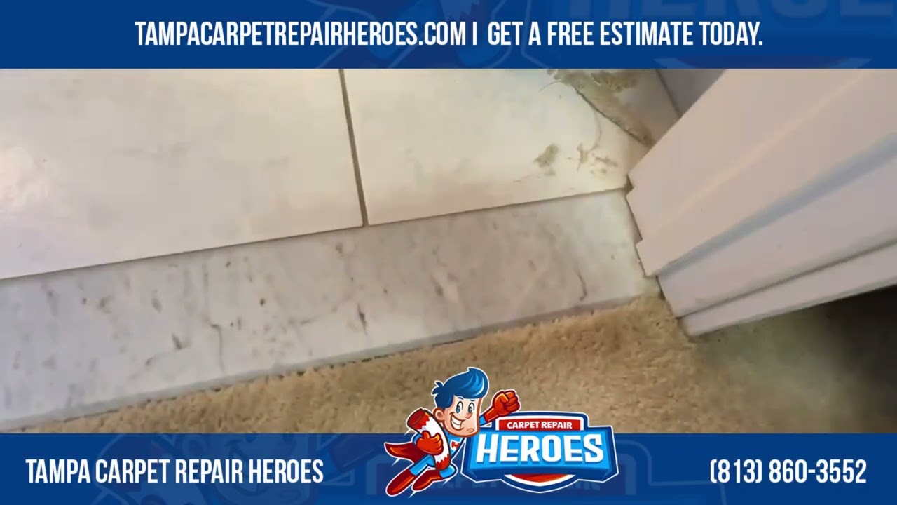 Carpet Transition Repair