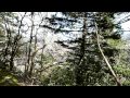 Poem New Hope By Scott Nadi Gray Copyright 2011 All Rights Reserved