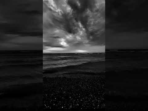 black 🐈‍⬛🖤 and white 🤍🐻‍❄️