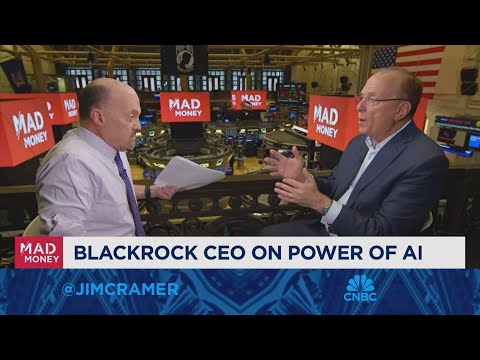 Blackrock CEO Larry Fink on the power of AI