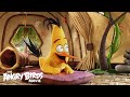 The Angry Birds Movie Meet Chuck