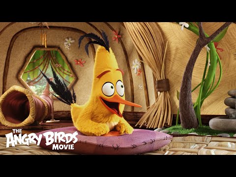 Angry Birds (Character Spot 'Meet Chuck')