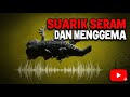 Suara Tokek Seram Dan Menggema Di Rumah
