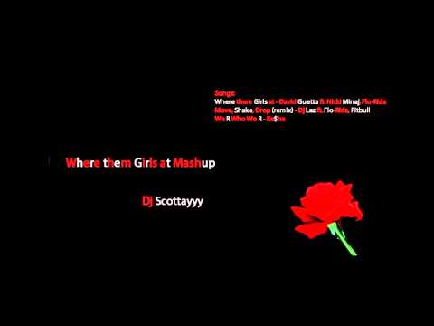David Guetta - Where them Girls At Remix / Mashup ft. Flo-Rida, Pitbull, Casely, Ke$ha, Dj Laz