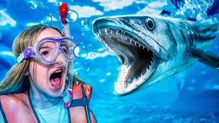Swimming With a BARRACUDA!! OMG! So Scary!!