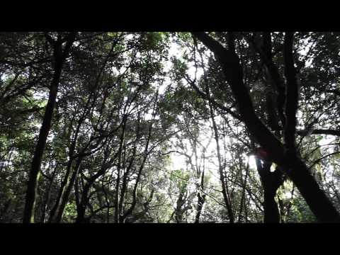 Miniatura del documental La Gomera, isla de la felicidad