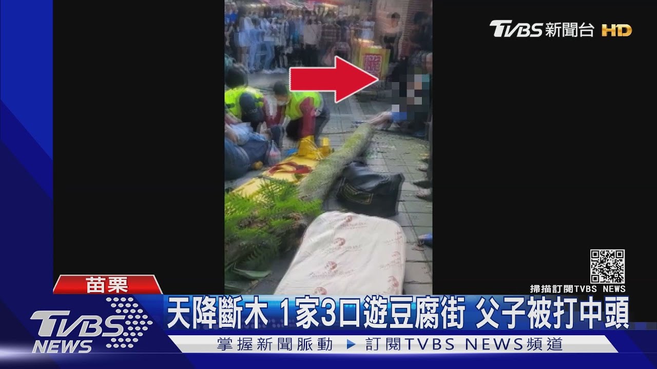天降斷木!1家3口遊豆腐街 父子被打中頭