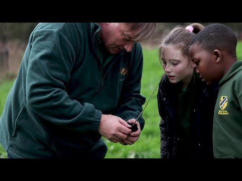 Warwickshire schools delight in receiving oak tree saplings from HS2