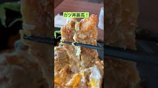 大分グルメ】杵築グルメの元禄うどんカツ丼セットがコスパ最強すぎた！