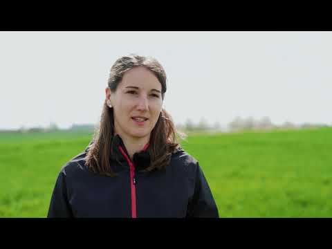 Wir leben Getreide Feld-Reporter Monika Ganal: Schutz der oberen Blattetagen und Insektizideinsatz