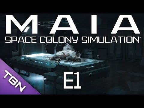 space colony pc cheats