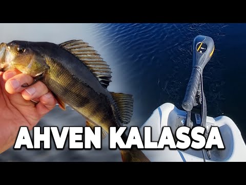SÄHKÖKONE, SOUTUVENE, AHVENEN KALASTUS | JUHANNUS