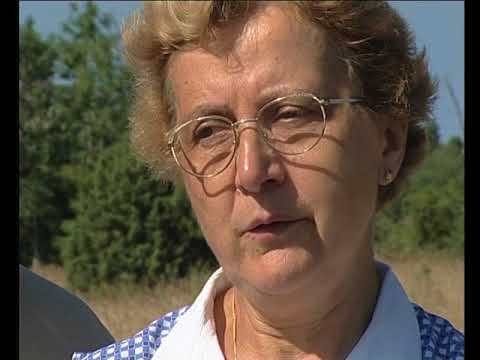 La calhada, la gaspa e lo ròcafòrt