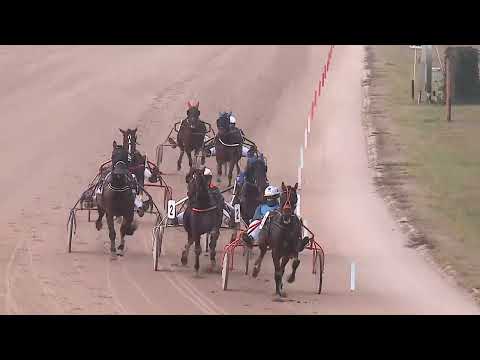 2022.12.26. 04. futam - ELEFÁNT DÍJ