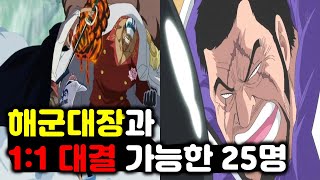 [원피스] 해군대장과 1:1 맞치기 쌉가능한 25명 알아보자