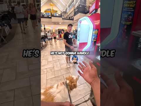 Dad Shows kid Great Parenting