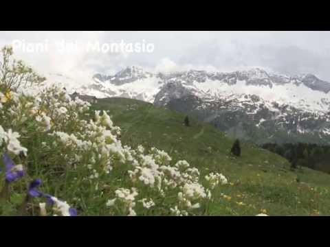 RISVEGLI - Piani del Montasio (Tarvisiano)