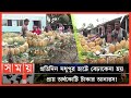 প্রচণ্ড গরমে বেড়েছে মধুপুরের আনারসে