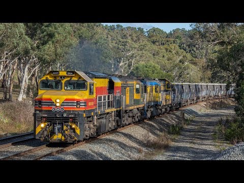 BRM001, 602, 4532 and 4904 with SSR Grain - June 14th 2020