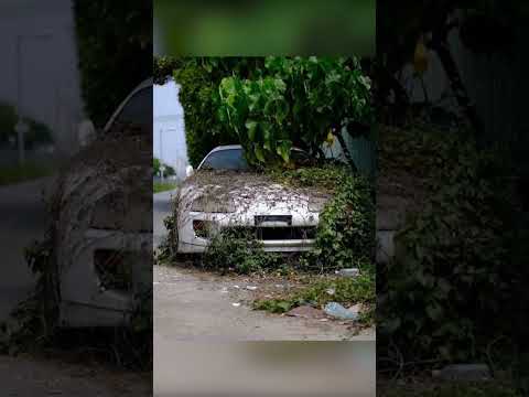 Abandoned Cars In Japan 😪 #shorts #jdm #gtr #s13 #rx7 #jdmcars #supra #toyota #nissan #nissangtr