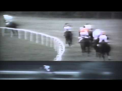 Nagroda Soliny - 15.06.1991 - Kliwia (Pyjama Hunt - Knieja)