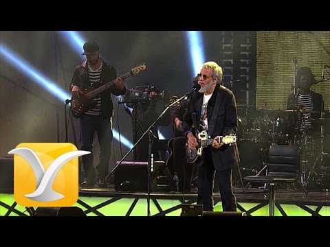 Yusuf Cat Steven,  If You Want To Sing Out, Festival de Viña 2015 HD 1080p