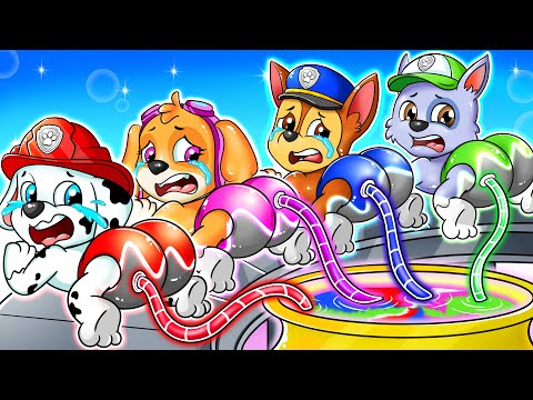 Brewing Cute Baby Factory But The Color Are Missing - Funny Life Story - Paw Patrol Ultimate Rescue