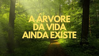 JESUS É O CENTRO DE TUDO