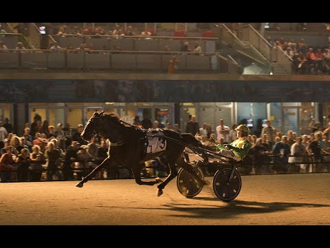 Back Of The Neck & Tim Tetrick won Maple Leaf Trot Final ($610,000) in 1.51 (1.09,0) at Mohawk Park.