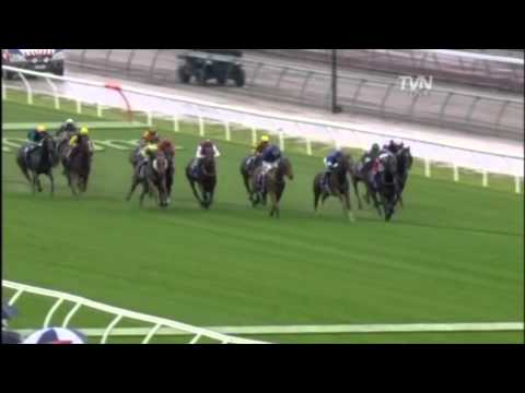 2010 Coolmore Stud Stakes - Star Witness