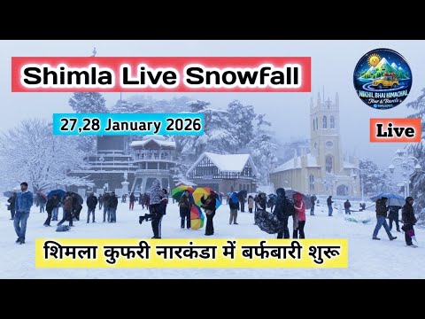 Shimla Kufri Narknada Snowfall Update , Shimla Snowfall Update, Shimla next Snowfall Prediction