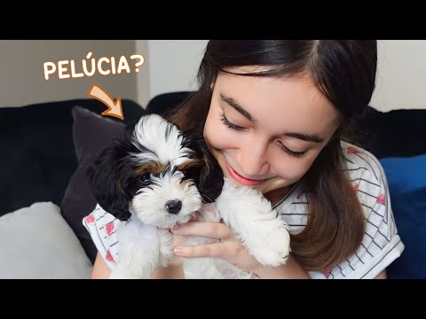 Canal da Lelê and Lizzie Fofinha