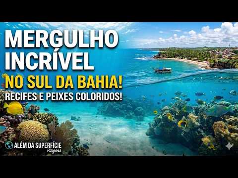 MERGULHO em Santa Cruz CABRÁLIA(Bahia) | O QUE ENCONTRAMOS no fundo do mar