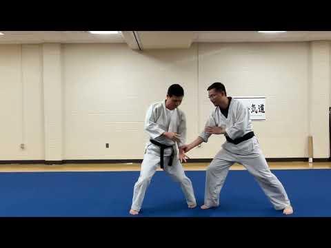 Aikido McLean: Shiho-nage Ura with breakfall
