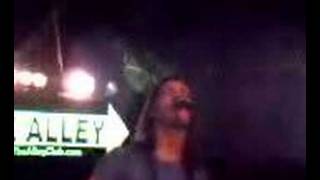 Dave Melillo-This Is 2005