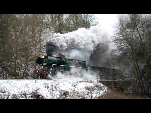 Rosnička 464.202, Olomouc 25.10.2025