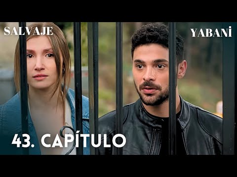 Wild 43. Chapter / Yabani #Turkishnovelas #Turkishseries / #series #Turkishseries / In Spanish