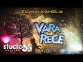 Eli feat. Kamelia - Vara rece (Audio) 