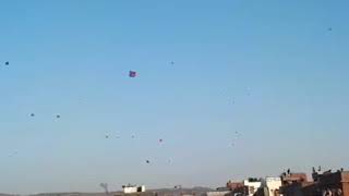 preview picture of video 'Jaipur Kite Festival Day View'