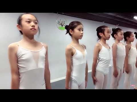 Chinese dance training （舞蹈训练 软开度 白丝 ）mwr