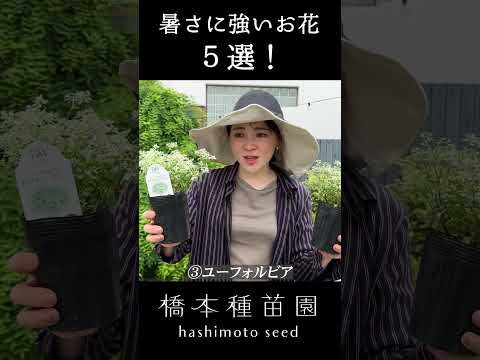 寒さ、暑さ、干ばつ、風など、あらゆるものに耐える植物を発見してください。  庭園